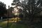Texas_001_small