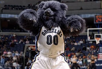 Grizz56773873300_feature