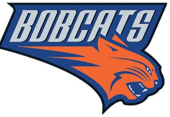Bobcat_crop_340x234