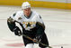 50672886_stars_v_ducks_medium