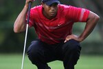 5340032_wgc_round_4_crop_150x100