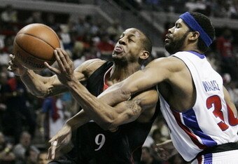 Iggy_sheed_crop_340x234