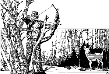 Archery_feature