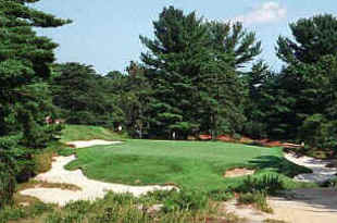 Pinevalley_crop_310x205