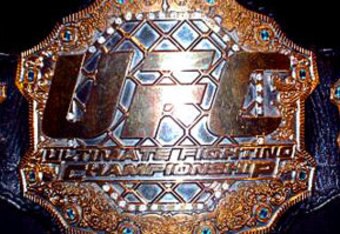Belt_0202_crop_340x234