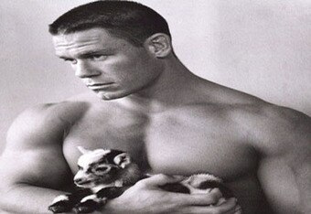 John_cena_crop_340x234