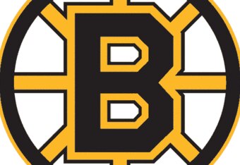 Boston_bruins_crop_340x234