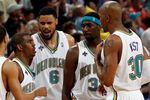 Hornets_crop_150x100