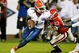 Gatorsgeorgia_medium