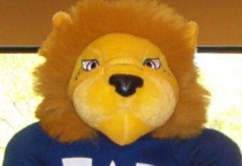 Gorlok_crop_340x234