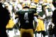 Favre_medium
