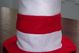 Cat_in_the_hat_-_hat_medium