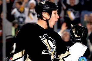 Staal_crop_310x205