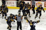 Sabres_crop_150x100
