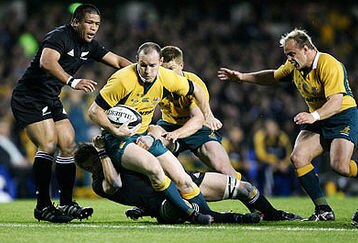 All-blacks-wallabies_feature
