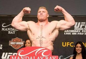 Brock_lesnar_crop_340x234