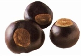 Buckeyes_crop_340x234