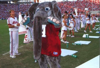 Red_elephant_crop_340x234