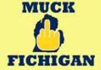 Muck_fichigan_crop_340x234