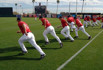 50631996_cubs_v_angels_feature