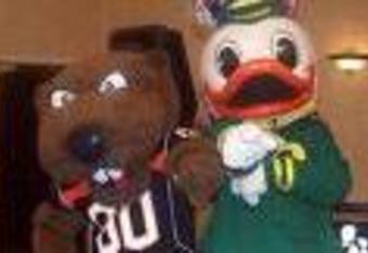 Duckbeav_crop_340x234