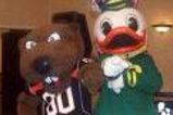 Duckbeav_more_feature