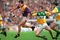 Hurling_small