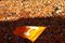 Ut_flag_flying_small