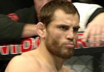 Fitch31_crop_340x234