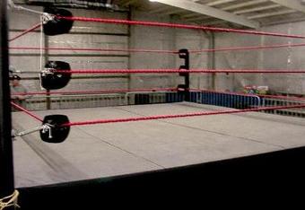 Wrestling_ring_crop_340x234