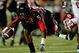 Texastech_medium