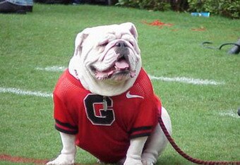Uga-05_crop_340x234