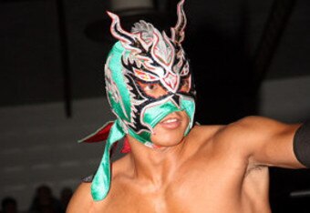 Roh15_crop_340x234