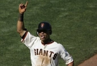 Marlins_crop_340x234