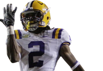Byrd_crop_340x234