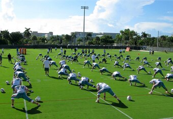 5340055_dolphins_training_camp_crop_340x234