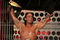 Cm_punk_small