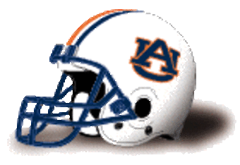 Helmet_aub_crop_340x234