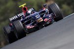 Vettel_toro_jerez_08pre_gepa_crop_150x100