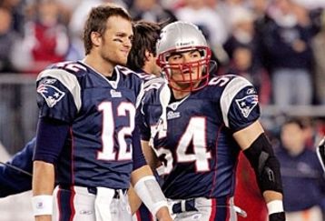 Bradybruschi_feature