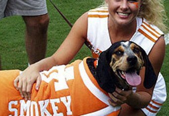 Smokey-8_crop_340x234