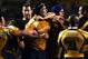 Bledisloe_medium