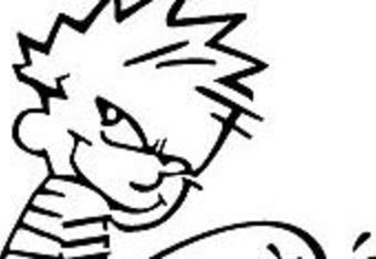 Calvin_crop_340x234