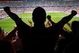 Sports_fan_medium