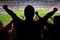 Sports_fan_small