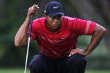 5340032_wgc_round_4_more_feature