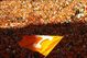 Ut_flag_flying_medium