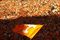 Ut_flag_flying_small