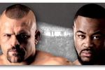 Ufc88liddellevans_crop_150x100