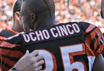 Chad_ocho_cinco_crop_340x234